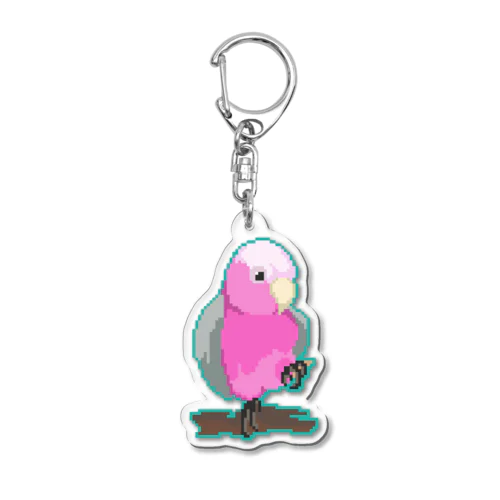 モモイロインコ Acrylic Key Chain