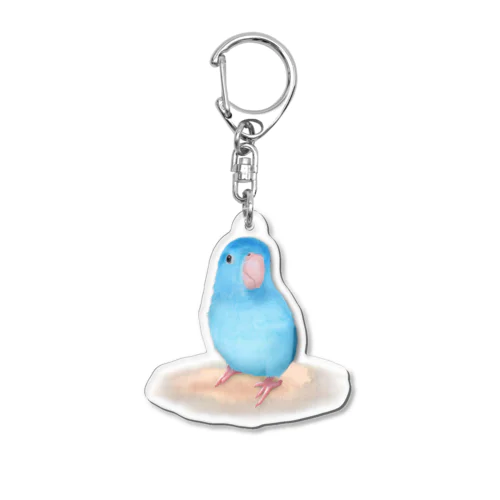 ブルーマメルリハ【まめるりはことり】 Acrylic Key Chain