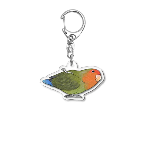 おすましコザクラインコ　きなこちゃん【まめるりはことり】 Acrylic Key Chain