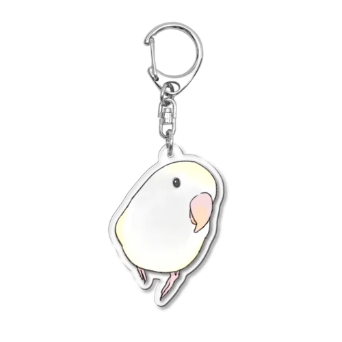 コザクラインコ　バイオレットパイドちゃん【まめるりはことり】 アクリルキーホルダー