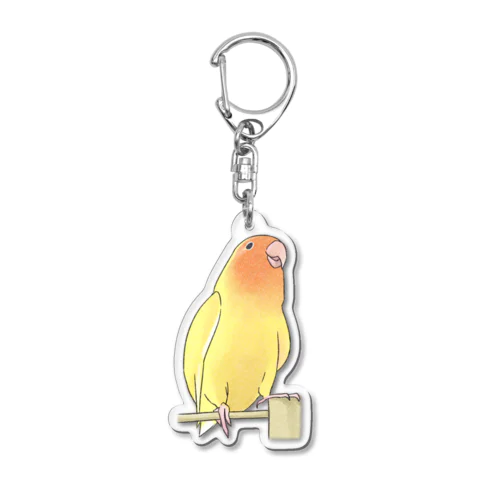 得意げ可愛い　コザクラインコちゃん【まめるりはことり】 アクリルキーホルダー