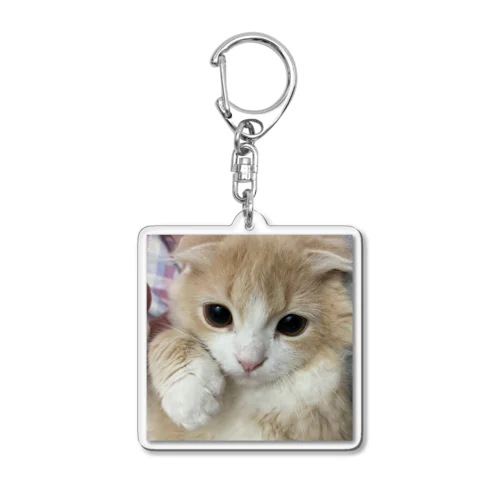 くしくし Acrylic Key Chain