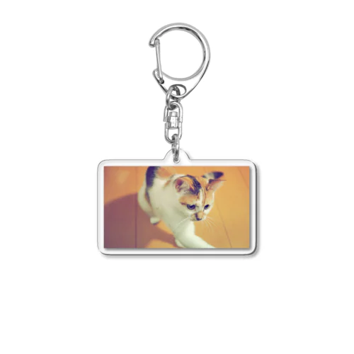 三毛猫みぃトート Acrylic Key Chain