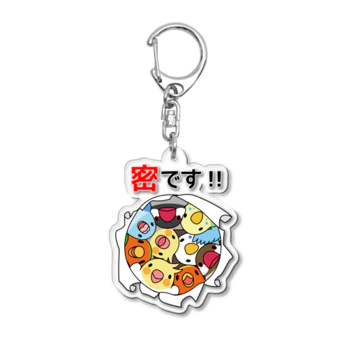 密です！鳥まみれ3密【まめるりはことり】 Acrylic Key Chain