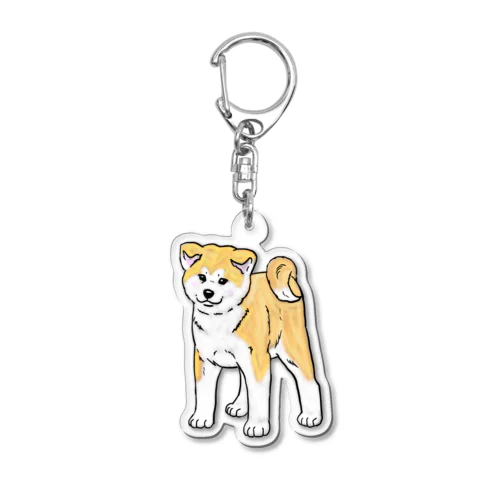 秋田犬の展覧会立ち込み練習 Acrylic Key Chain