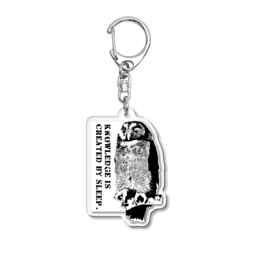 Sleeping owl Acrylic Key Chain