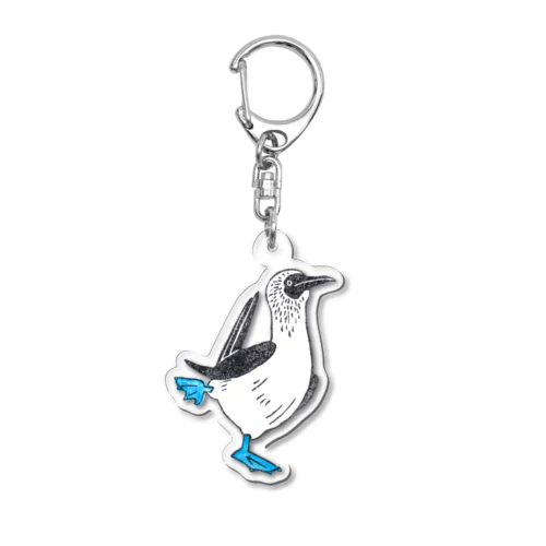 アオアシカツオドリ Acrylic Key Chain