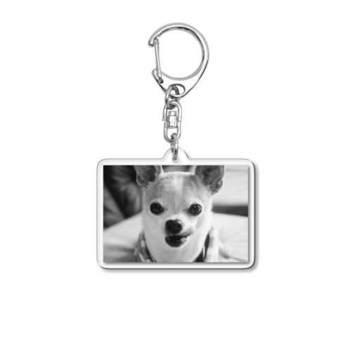 モノクロチワワ（ぺろんちょ） Acrylic Key Chain