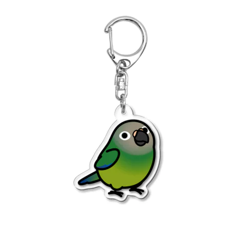 Chubby Bird シモフリインコ Acrylic Key Chain