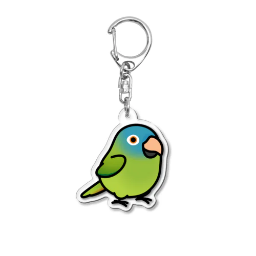 Chubby Bird トガリオインコ Acrylic Key Chain