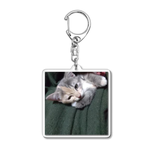 alice 03 Acrylic Key Chain