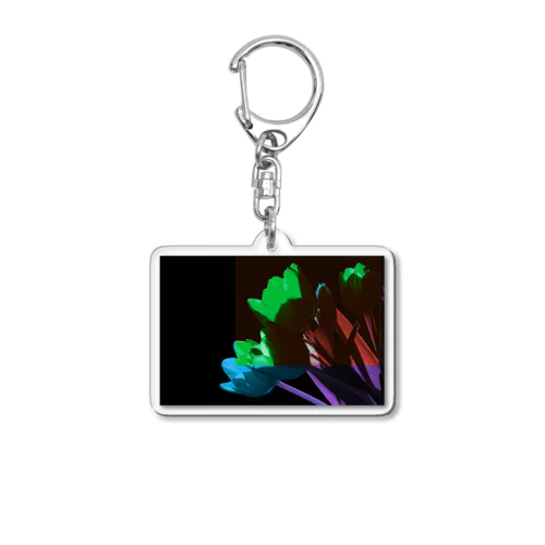 チューリップ2 Acrylic Key Chain