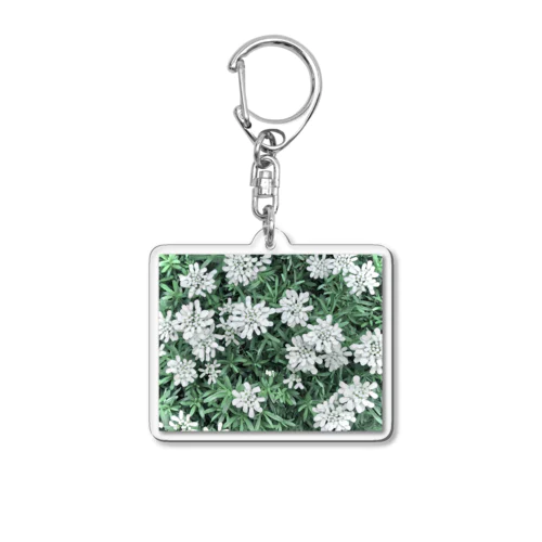 イベリスの花2 Acrylic Key Chain