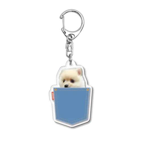 ポメラニアンのポメくん Acrylic Key Chain