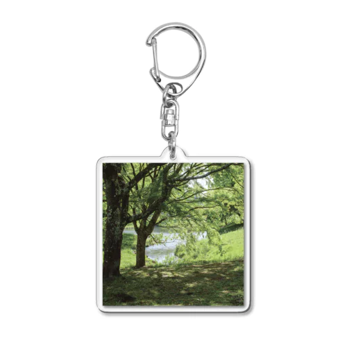 癒しの風景（樹木） Acrylic Key Chain