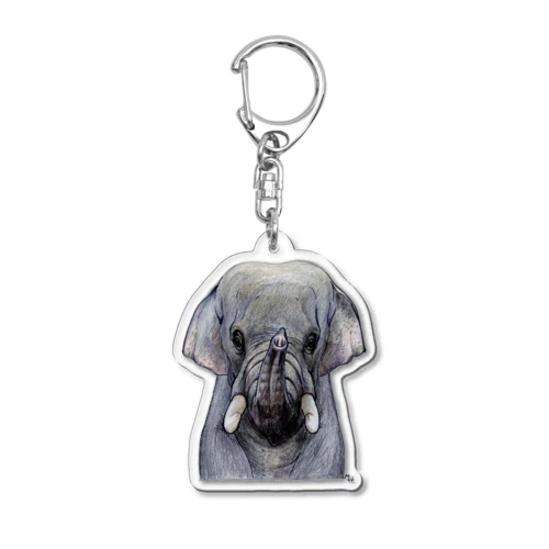 インドゾウ Acrylic Key Chain