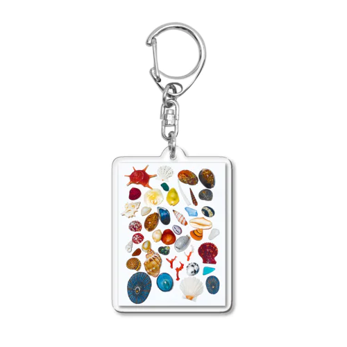 カラフルポップシェルズ Acrylic Key Chain