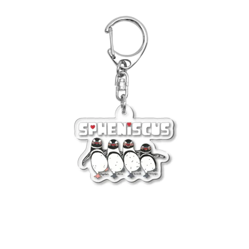 Spheniscus Quartet Acrylic Key Chain