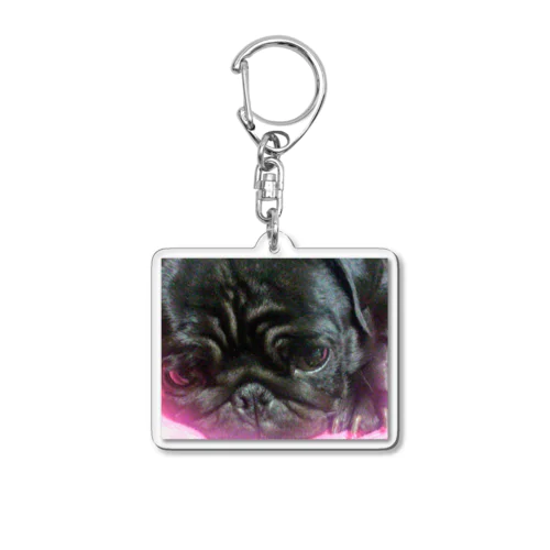      黒パグちゃん！ Acrylic Key Chain