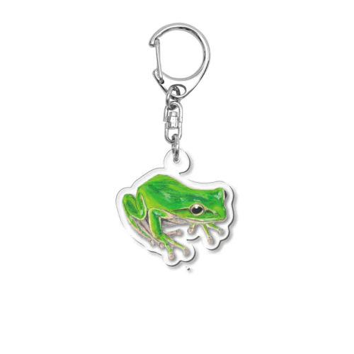 [森図鑑]アマガエル Acrylic Key Chain