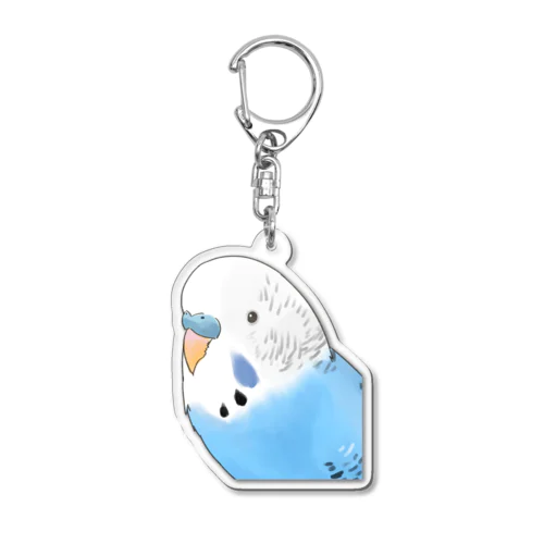 見つめるセキセイインコちゃん【まめるりはことり】 Acrylic Key Chain