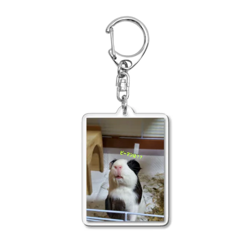 欲しがるw Acrylic Key Chain