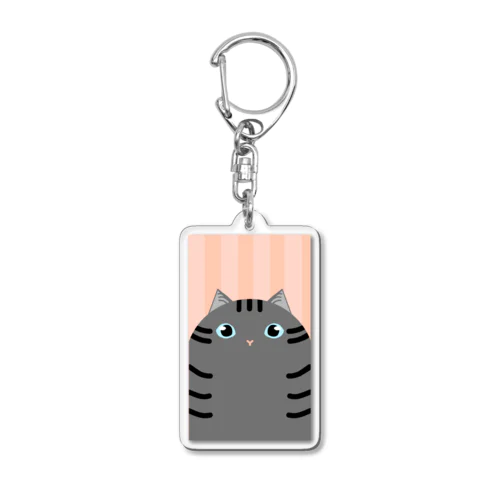 さばとらさん Acrylic Key Chain