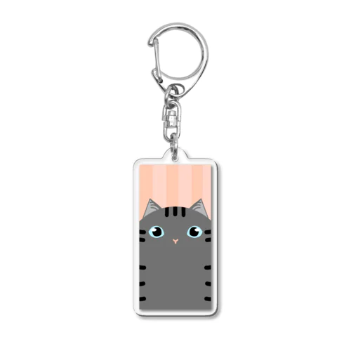 さばとらさん Acrylic Key Chain