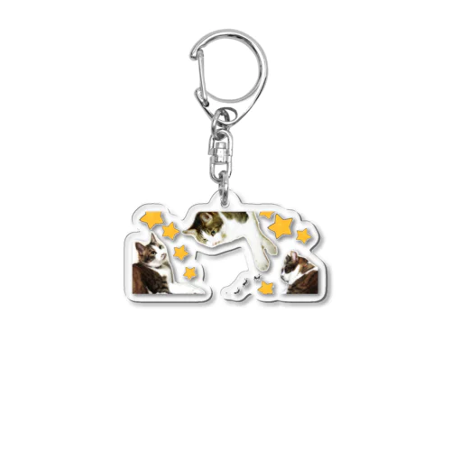 にゃあきちくん✩いっぱい Acrylic Key Chain