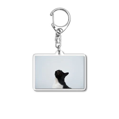 見上げる猫 Acrylic Key Chain