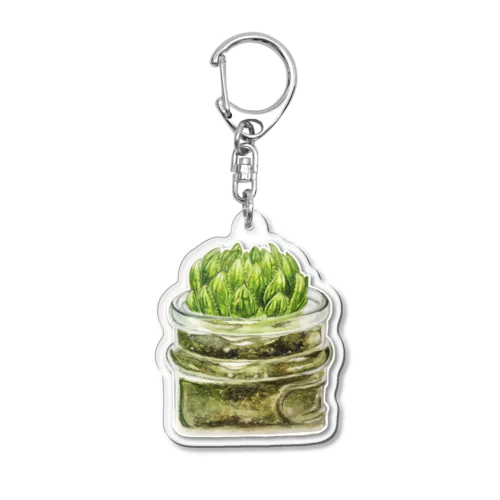 Haworthia  Acrylic Key Chain