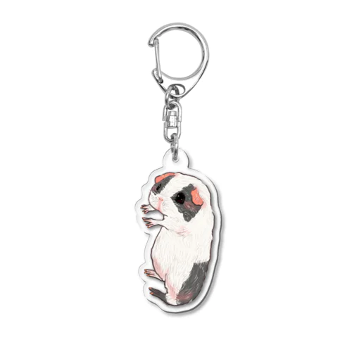 Guinea pig hug Acrylic Key Chain