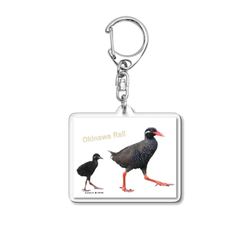 ヤンバルクイナの親子の小物 Acrylic Key Chain