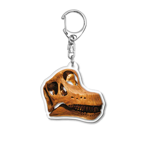 ブラキオサウルス 頭骨 Acrylic Key Chain