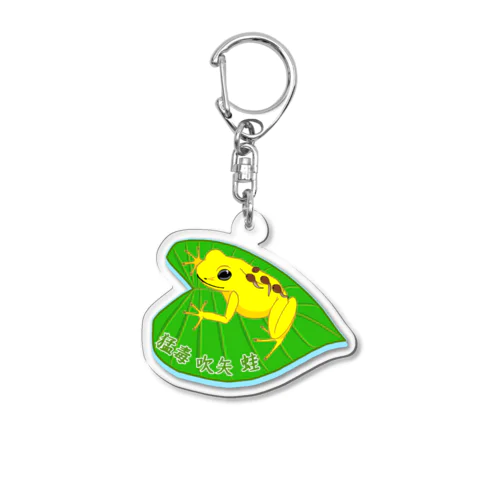 猛毒吹矢ガエル Acrylic Key Chain