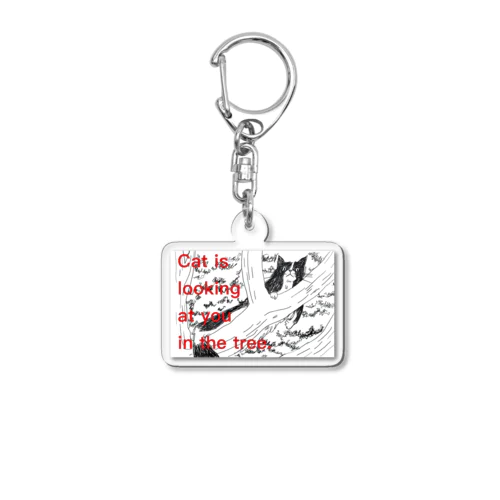 Cat is looking at you  Acrylic Key Chain