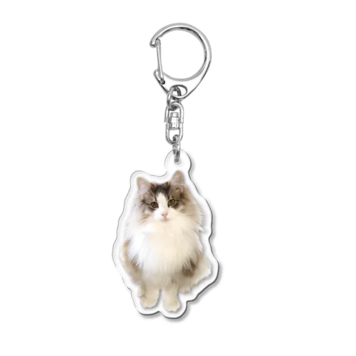 ふうちゃん Acrylic Key Chain