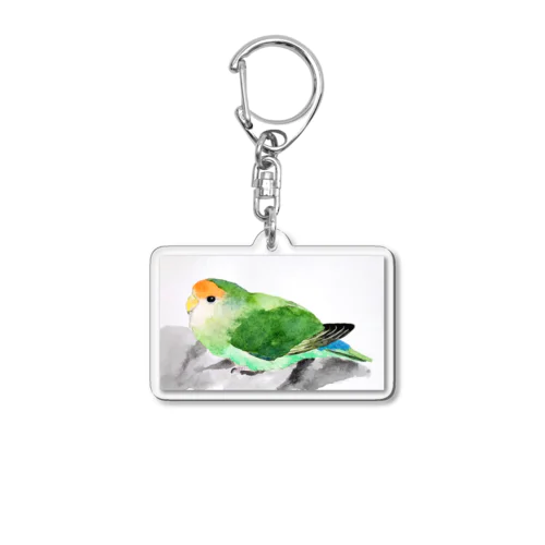 ペタンと座ったコザクラインコ Acrylic Key Chain