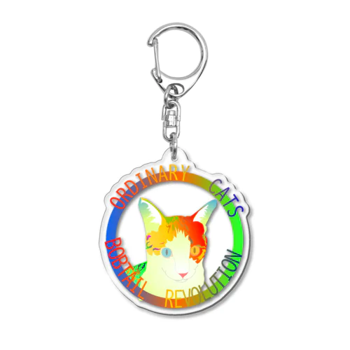 Ordinary Cats01h.t.(夏) Acrylic Key Chain