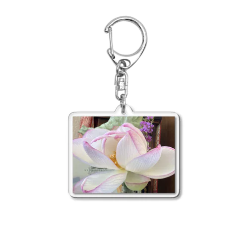 蓮の花 Acrylic Key Chain