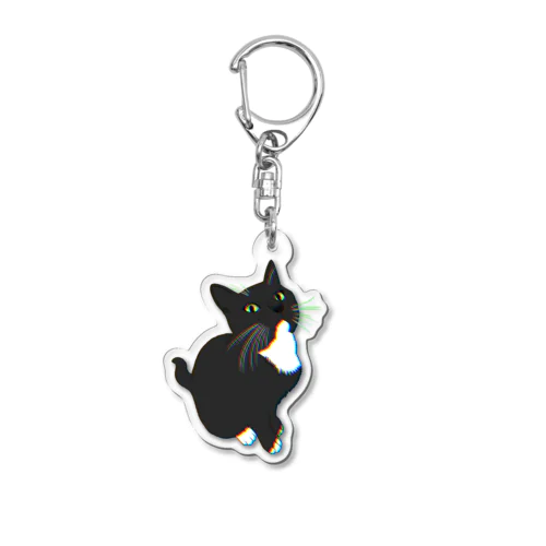 おとげcat Acrylic Key Chain