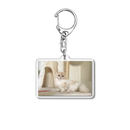 かわいいがすぎる。 Acrylic Key Chain