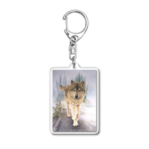 F​o​r​e​s​t​ ​o​f​ ​K​a​s​i​l​o​f  Acrylic Key Chain