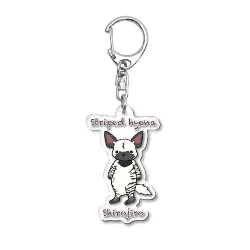 シマハイエナのシロジロー Acrylic Key Chain