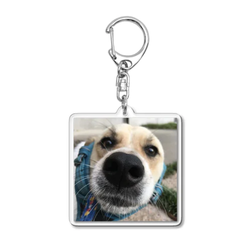 野犬のぶうちゃん Acrylic Key Chain