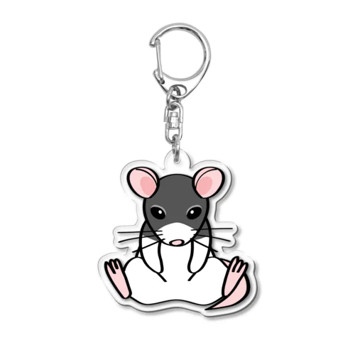 NEMI Acrylic Key Chain