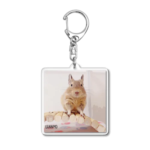 アートなデグー Acrylic Key Chain