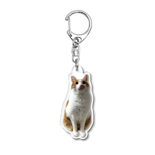 ふわふわコマ Acrylic Key Chain