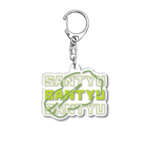 SANTYU Acrylic Key Chain