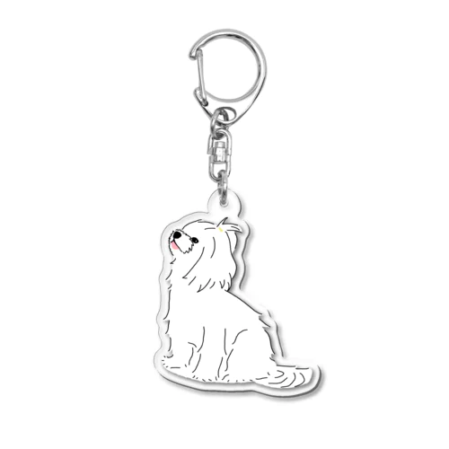 おすわりマルチーズ犬 Acrylic Key Chain